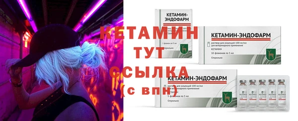 стаф Козловка