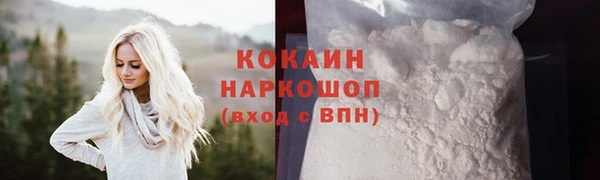 шишки Корсаков
