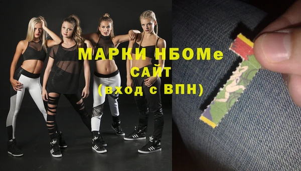 стаф Козловка