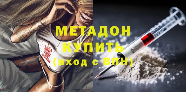 шишки Корсаков