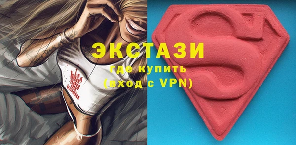 стаф Козловка