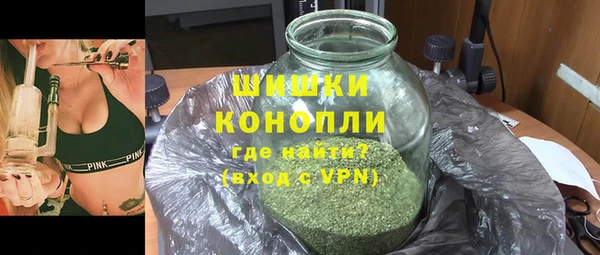 стаф Козловка