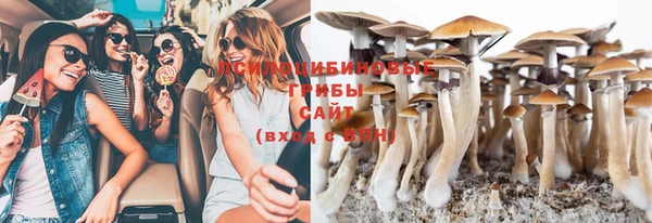 не бодяженный Козельск