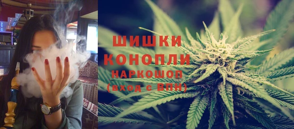 стаф Козловка