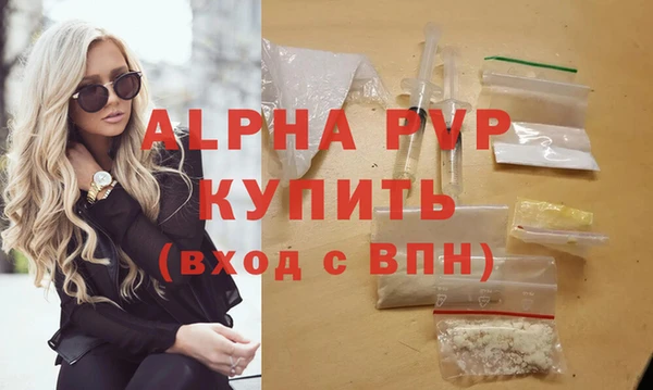 стаф Козловка