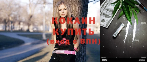 стаф Козловка