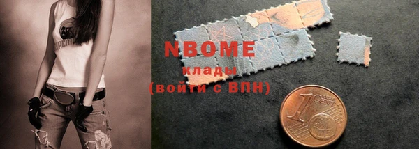 стаф Козловка