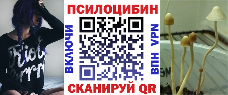 Галлюциногенные грибы мухоморы  Купить  Дагестанские Огни 